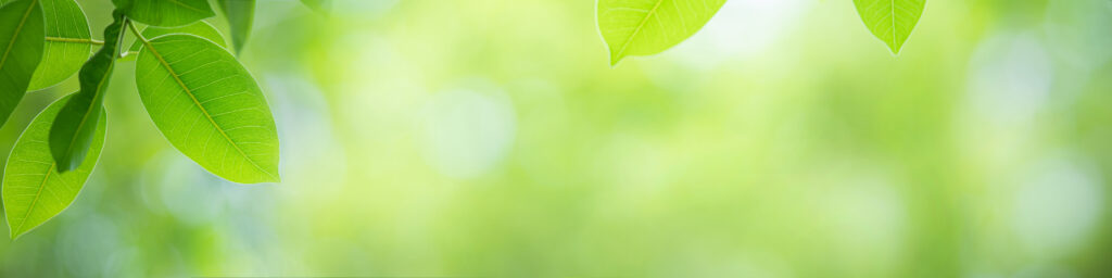 Unleash Your Plant's Superpowers with Vortex Vitality's Smart Soil Moisture Meter in the UK! 
